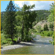 River flowing beside trees and forested hillside.