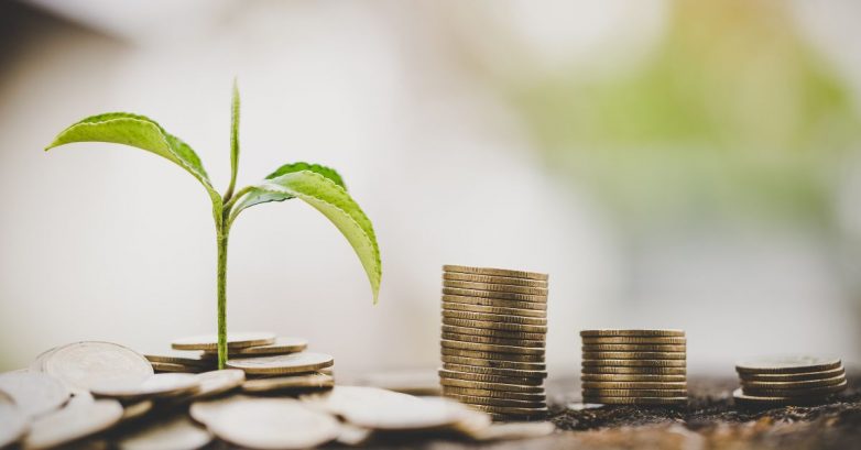 Seedling growing from coins beside stacked money