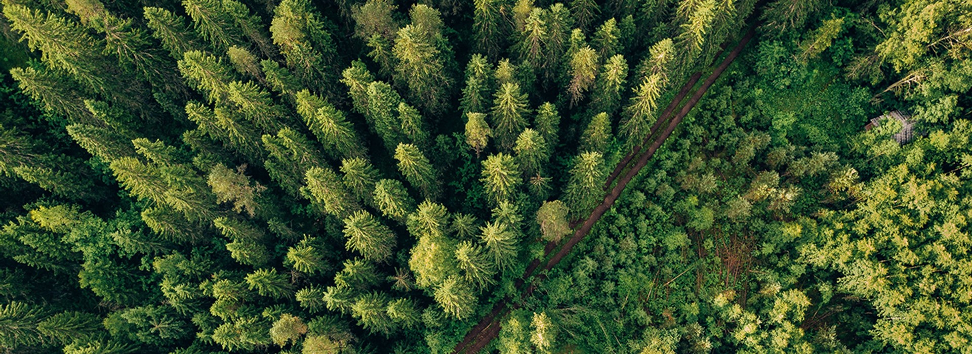 Natural Resource Law