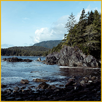 Rocky forested coastline with calm water and mountains