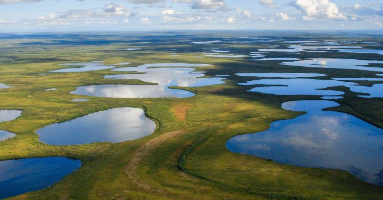 Aerial view of tundra dotted with lakes