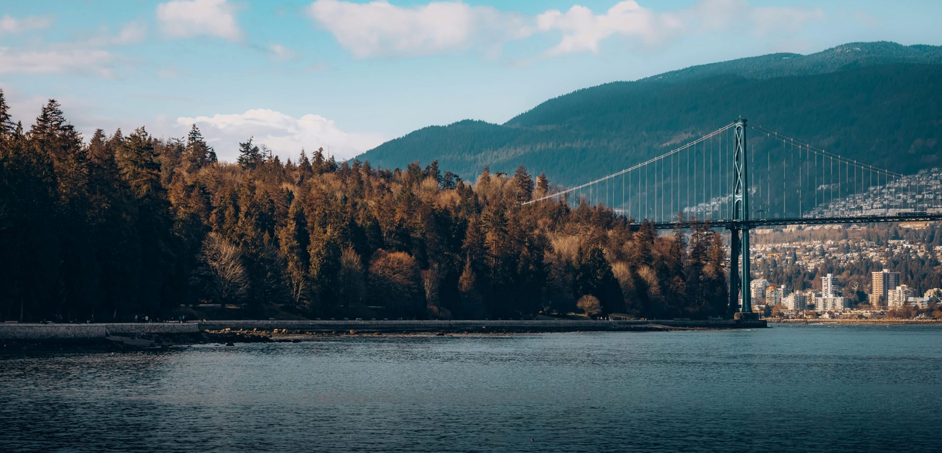 Suspension bridge over water, forested mountains and city.