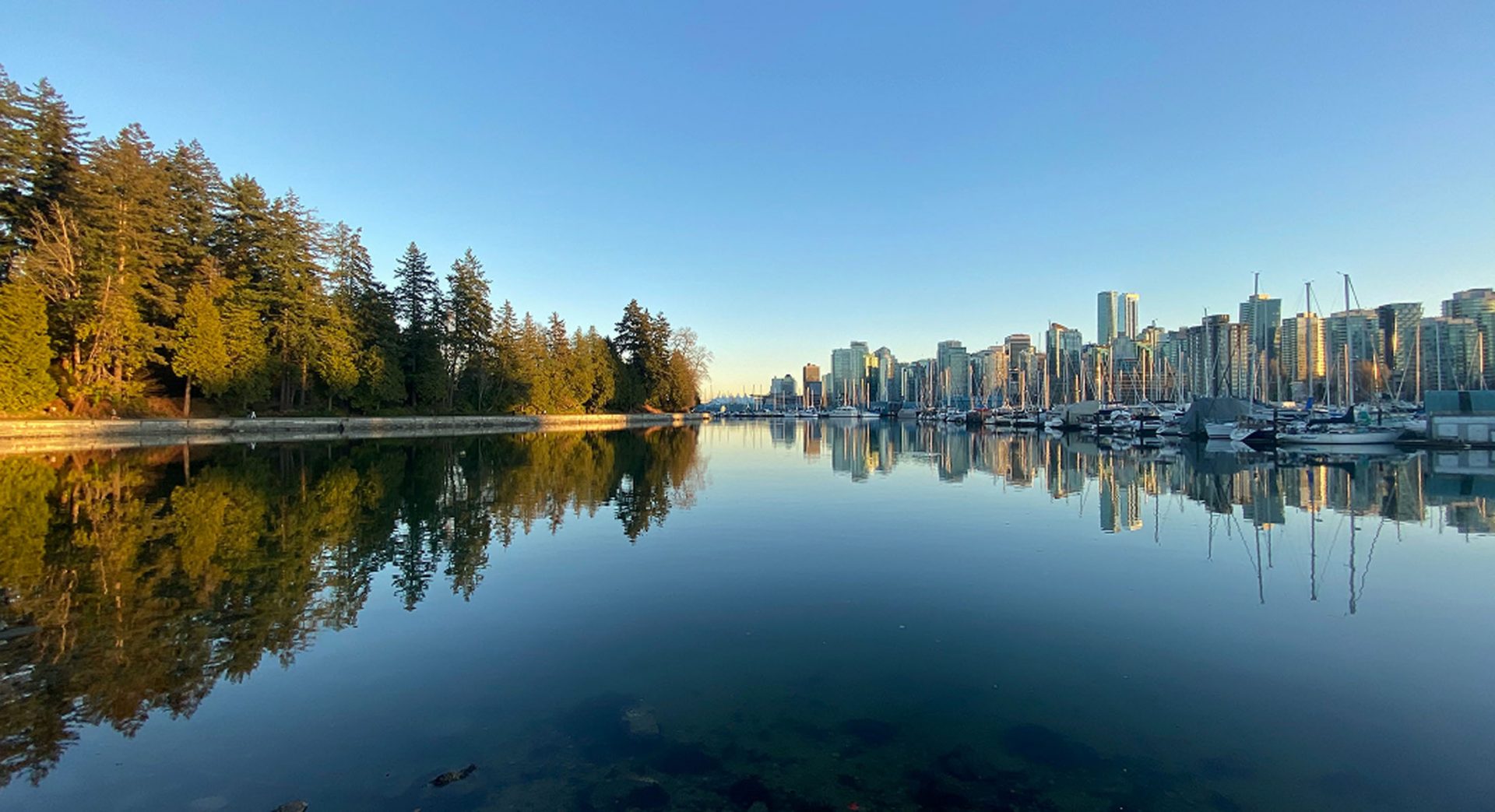 City skyline and marina reflected in calm water