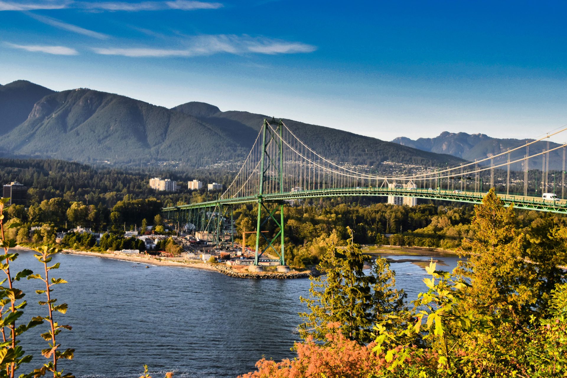 Suspension bridge over water with forested mountains backdrop
